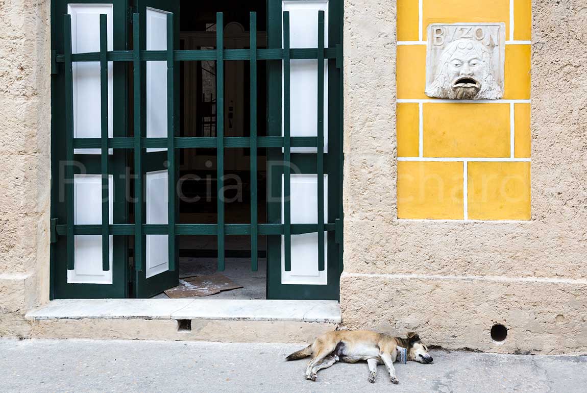 geometrics-green-and-yellow