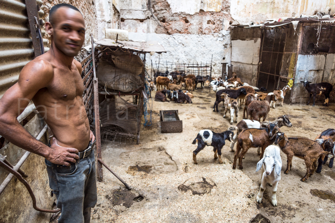 Santaria-market-place