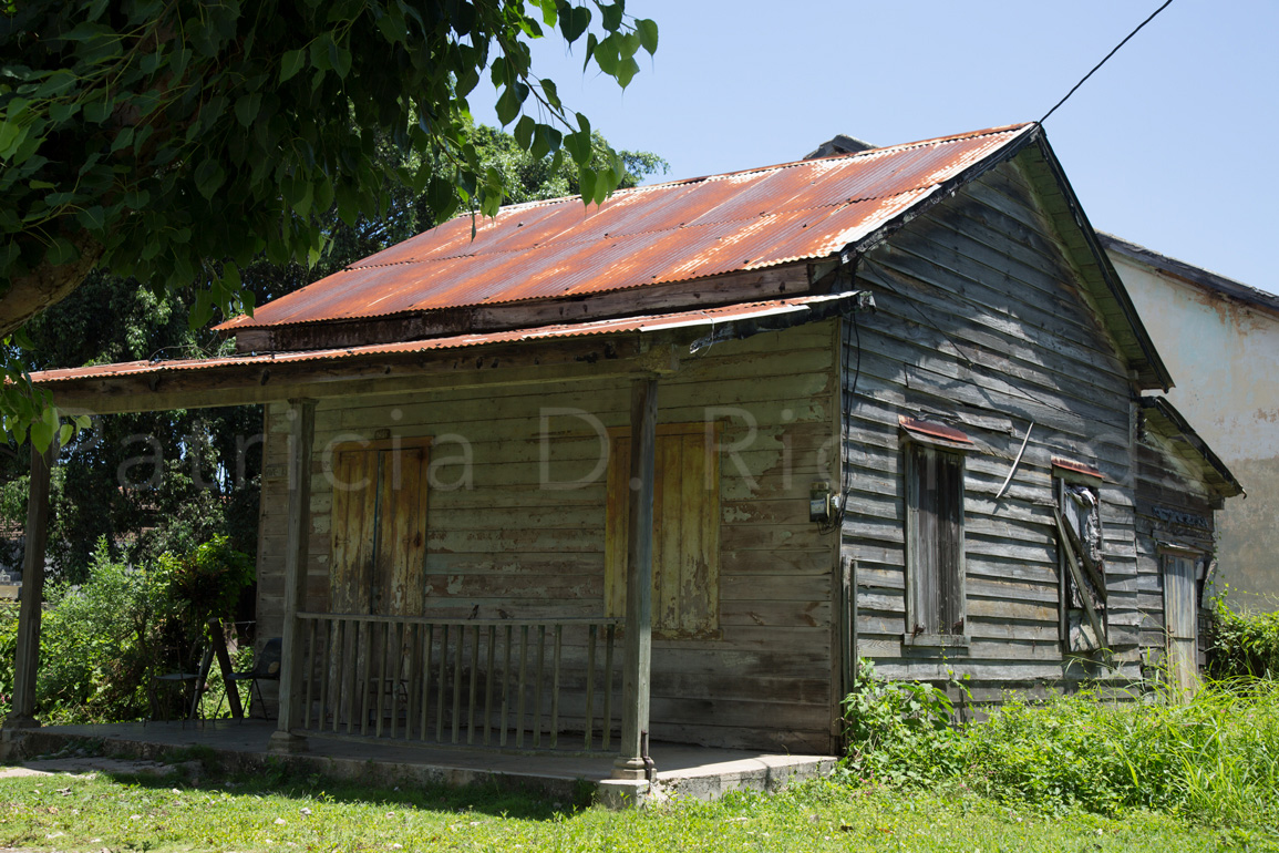 Original to the Town II