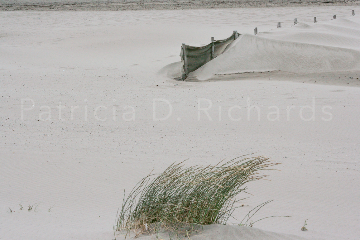 Camargue-beach france