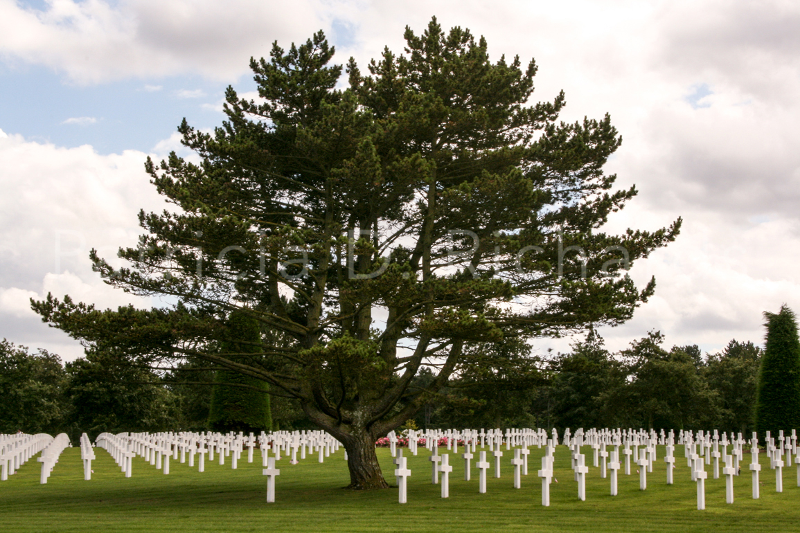 american cemetery normandy