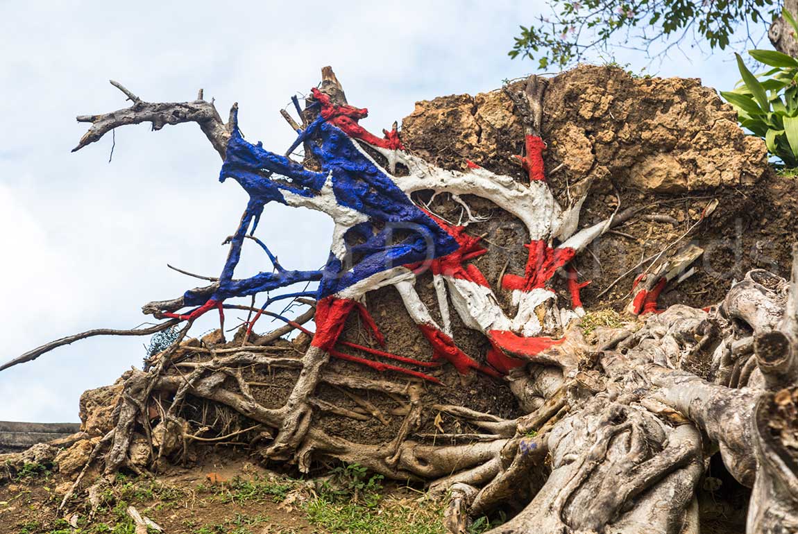 after-hurricane-maria