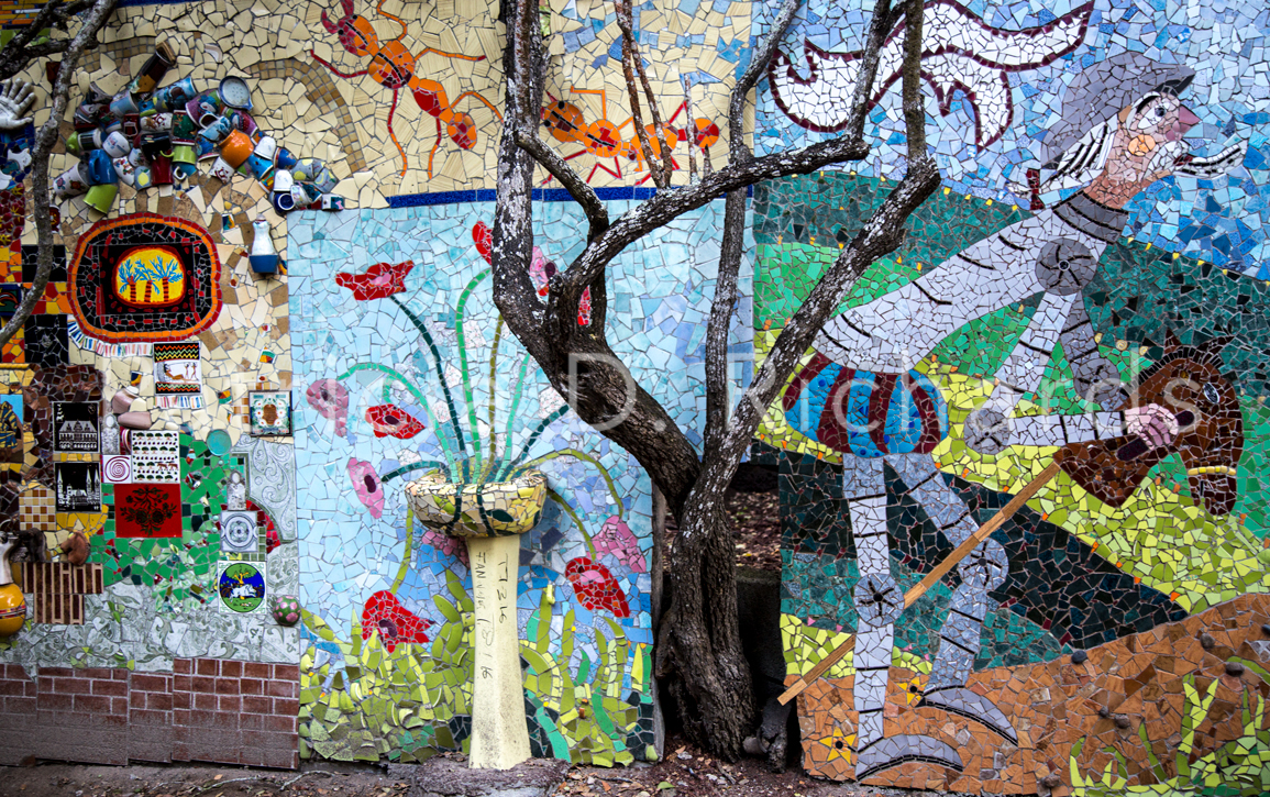 Mosaics-Santa Cruz, Galapagos
