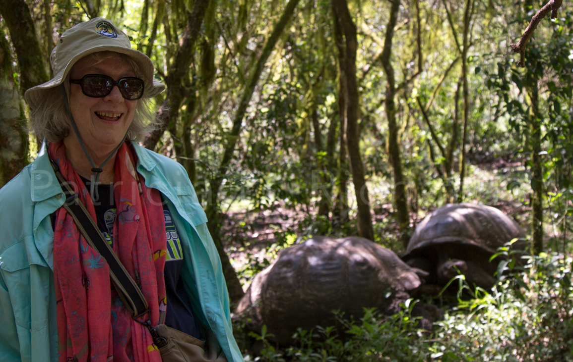 self portrait with tortoises