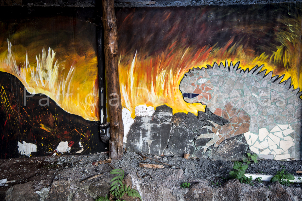 wall painting santa cruz