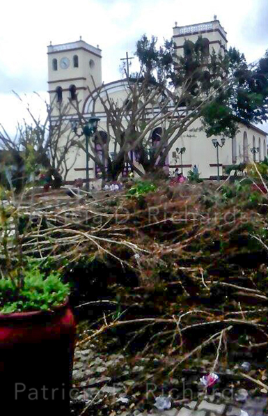 Coloumbus Church Survived